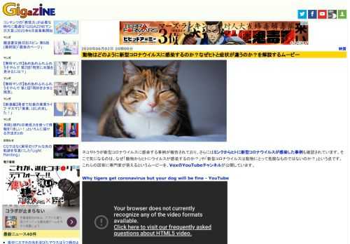 ネコやトラが新型コロナウイルスに感染する事例が報告されており、さらにはミンクからヒトに新型コロナウイルスが感染した事例も確認されています。そこで気になるのは、なぜ「動物からヒトにウイルスが感染するのか？」や「新型コロナウイルスは動物にとって危険なものではないのか？」という点です。これらの回答に専門家が答えるというムービーを、VoxのYouTubeチャンネルが公開しています。