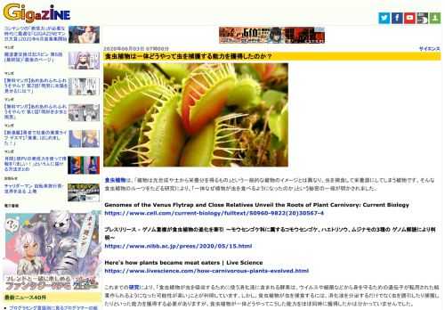 食虫植物は、「植物は光合成や土から栄養分を得るもの」という一般的な植物のイメージとは異なり、虫を捕食して栄養源にしてしまう植物です。そんな食虫植物のルーツをたどる研究により、「一体なぜ植物が虫を食べるようになったのか」という秘密の一端が明かされました。