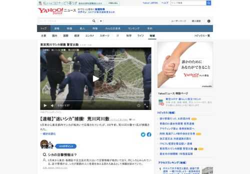 5月末から都内でシカが相次いで目撃されていたが、3日午前、東京・荒川河川敷でシカが捕獲された。このシカは野生のシカとみられ、東京・板橋区内で目撃されていたシカと同じとみられている。