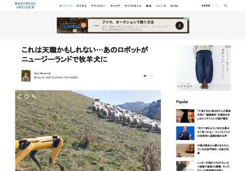  ボストンダイナミクスの犬型ロボット｢スポット｣は、牧羊犬として働いている。同社はニュージーランドのロコス社と提携したことを発表した。スポットは、ボストンダイナミクスのハードウェアとロコスの遠隔操作技術を使用して、各種のデータを収集する。最