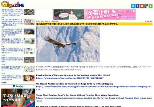 8羽の若いコンドルに追跡装置を取り付けて、飛行の様子を記録する研究により「コンドルは1回も羽ばたくことなく5時間滞空し、距離にして170キロメートルも飛行することが可能」だということが確かめられました。