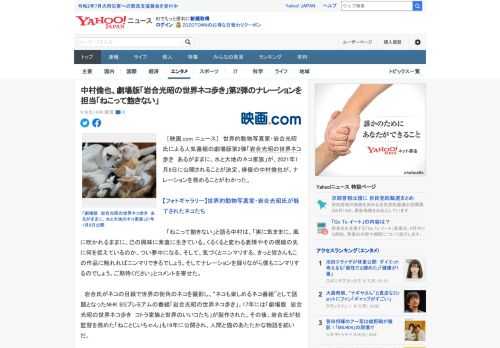 　［映画.com ニュース］　世界的動物写真家・岩合光昭氏による人気番組の劇場版第2弾「岩合光昭の世界ネコ歩き　あるがままに、水と大地のネコ家族」が、2021年1月8日に公開されることが決定。俳優の