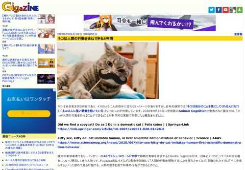 ネコは自由気ままな存在であり、イヌのように人の指示に従わないイメージがありますが、近年の研究では「ネコは自分のことを気にしてくれる人になつく」「ネコは人に強い愛着を抱いている」といったことが判明しています。2020年9月18日に学術誌のAnimal Cognitionで発表された論文では、「ネコが人間の行動をまねることができる」ことが科学的な実験で判明したと報告されました。