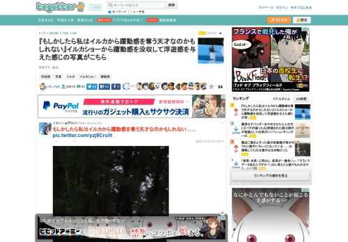 好きです、私は