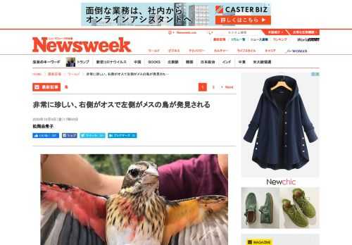 最新記事ニューズウィーク日本版オフィシャルサイトはNewsweekの米国版と国際版からの翻訳記事と日本オリジナル記事編集されるニューズウィーク日本版本誌の内容とサイトオリジナルのコンテンツを毎週お届けしています。