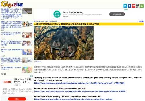 新型コロナウイルス感染症(COVID-19)の流行拡大を抑えるために、各国では「社会的距離を保つ」ための政策が推進されました。病気になった際に社会的距離を保つのは人間だけではなく、さまざまなウイルスを媒介することで知られるコウモリも、病気になると社会的距離を保つことが研究によって判明しました。