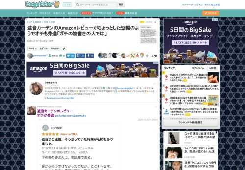 たまにみかけるレビュー文学