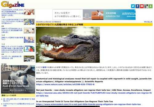 トカゲが自切や外敵からの攻撃で尻尾を失っても、再生させることが可能なのはよく知られています。しかし、トカゲよりもはるかに巨大なは虫類であるワニも、尻尾を再生させる能力を有していることが研究により明らかになりました。研究者らは、この発見が人間の再生医療にも活用できるのではないかと期待しています。