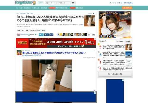 猫によるものの、基本的に猫さんは住環境が変わる事は好まないと言われています。家族がリビングを模様替えしたりすると同じ顔になるので共感。