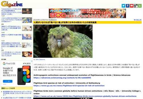 イギリスのユニバーシティ・カレッジ・ロンドン(UCL)の生物学者らが2020年12月に発表した研究により、過去12万年の間に166種の「飛べない鳥」が人類に滅ぼされていたことが分かりました。これに対し、現存する飛べない鳥はわずか60種しかいないことから、研究者は「人間が絶滅に追い込まなければ、世界には飛べない鳥が今の4倍はいた」と指摘しています。