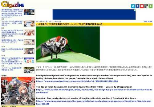 デンマーク・コペンハーゲン大学の研究チームが、同国のハエから見つかった新種の真菌についての論文を発表しました。この研究により、生きたハエを体の内側からむさぼり食い、胞子をバラまくための道具にしてしまうという恐るべき生態を持った菌類2種の存在が明らかとなりました。