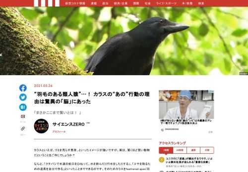 「現代ビジネス」は、第一線で活躍するビジネスパーソン、マネジメント層に向けて、プロフェッショナルの分析に基づいた記事を届ける新創刊メディアです。政治、経済からライフスタイルまで、ネットの特性を最大限にいかした新しい時代のジャーナリズムの可能性を追及します。