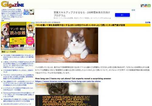 ペットを飼っている人は、旅行などで長期間家を空けるときに「ペットと離れても問題ないだろうか」と考える事があるはず。「どれくらいの時間ならネコと離れていても問題ないのか」「長期間ネコと離れるときには何をしたらいいのか」という問いについて、カリフォルニア大学デービス校獣医学部の博士研究員であるマイケル・デルガド氏が回答しています。