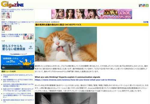 猫を飼ったことがある人の中には、ごろごろと喉を鳴らしていた次の瞬間に怒り出したり、エサを欲しがっていたのにあげると見向きもしなかったりと、猫の気まぐれに振り回された経験がある人も多いはず。猫が幸福を感じている時や、「もうなでるのをやめて欲しい」と思っている時を知るヒントとなる猫のしぐさについて、海外メディアのInverseが4人の専門家に取材した結果をまとめています。