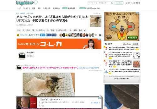 刈ってる部分さわってみたい