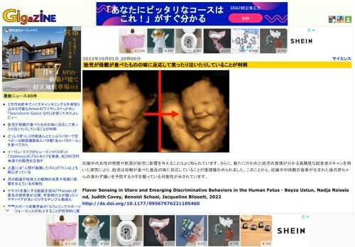 妊娠中の女性の喫煙や飲酒が胎児に影響を与えることはよく知られています。さらに、新たに行われた胎児の表情が分かる高精度な超音波スキャンを用いた研究により、胎児は母親が食べた食品の味に反応していることが直接確かめられました。このことから、妊娠中の母親の食事が生まれた後の赤ちゃんの食わず嫌いを予防するカギを握っている可能性が示されています。